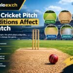 Cricket Pitch Conditions